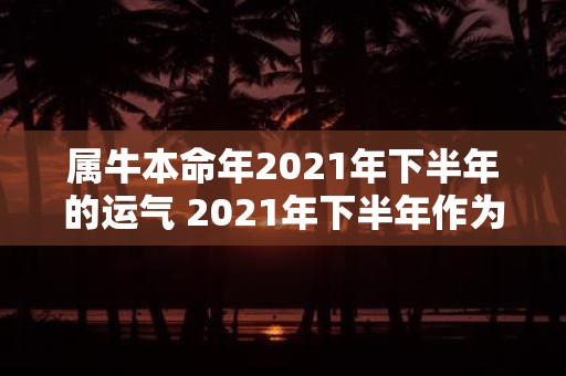 属牛本命年2021年下半年的运气 2021年下半年作为属牛本命年的人运势如何