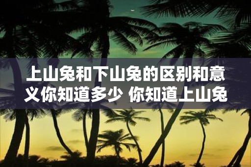 上山兔和下山兔的区别和意义你知道多少 你知道上山兔和下山兔的区别和意义是什么吗