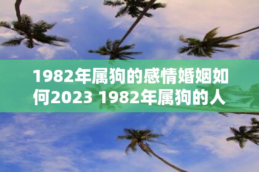 1982年属狗的感情婚姻如何2023 1982年属狗的人在2023年的感情婚姻状况如何