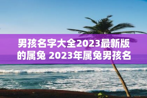 男孩名字大全2023最新版的属兔 2023年属兔男孩名字大全你知道有哪些好听的名字吗