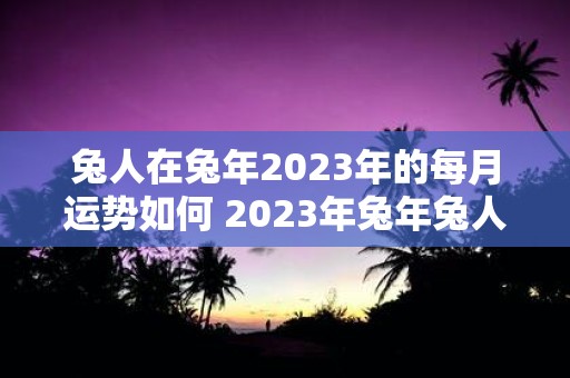 兔人在兔年2023年的每月运势如何 2023年兔年兔人每月运势如何