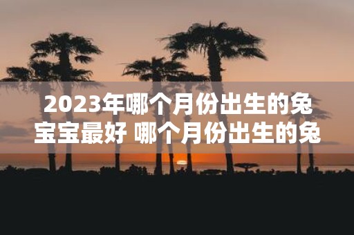 2023年哪个月份出生的兔宝宝最好 哪个月份出生的兔宝宝最适合在2023年诞生