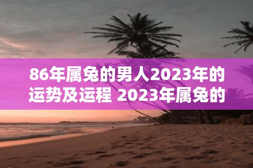 86年属兔的男人2023年的运势及运程 2023年属兔的男人运势如何运程有何变化