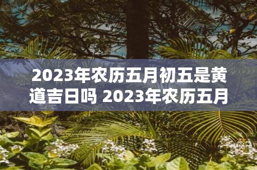 2023年农历五月初五是黄道吉日吗 2023年农历五月初五是否为黄道吉日