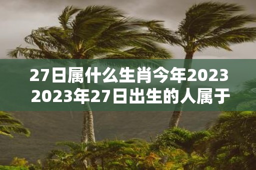 27日属什么生肖今年2023 2023年27日出生的人属于哪个生肖