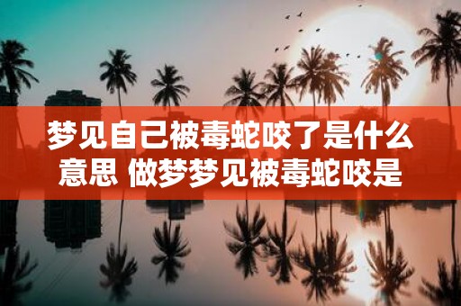 梦见自己被毒蛇咬了是什么意思 做梦梦见被毒蛇咬是代表什么意思