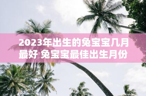 2023年出生的兔宝宝几月最好 兔宝宝最佳出生月份在2023年是哪个月