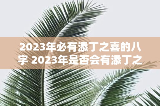 2023年必有添丁之喜的八字 2023年是否会有添丁之喜八字分析带来答案