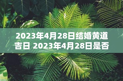 2023年4月28日结婚黄道吉日 2023年4月28日是否是结婚黄道吉日