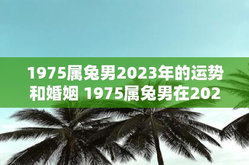 1975属兔男2023年的运势和婚姻 1975属兔男在2023年的运势如何婚姻状况受影响吗