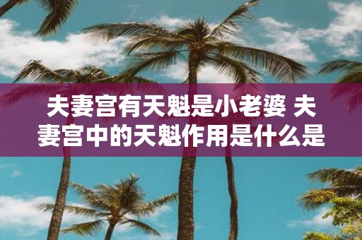 夫妻宫有天魁是小老婆 夫妻宫中的天魁作用是什么是否代表小老婆的存在