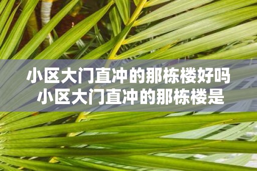 小区大门直冲的那栋楼好吗 小区大门直冲的那栋楼是否好