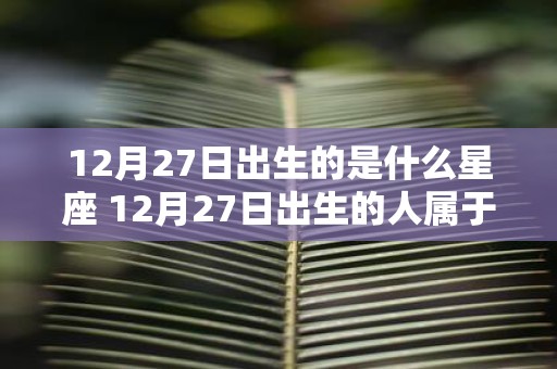 12月27日出生的是什么星座 12月27日出生的人属于哪个星座