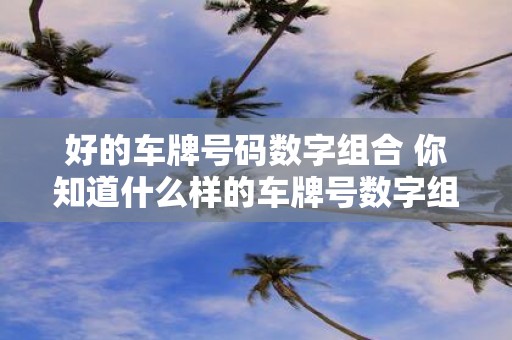 好的车牌号码数字组合 你知道什么样的车牌号数字组合比较好吗