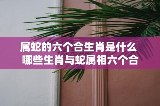 属蛇的六个合生肖是什么 哪些生肖与蛇属相六个合