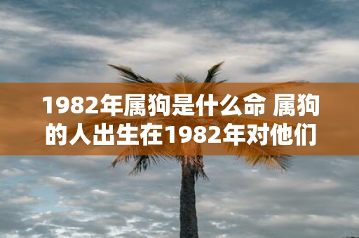 1982年属狗是什么命 属狗的人出生在1982年对他们的命运有什么影响