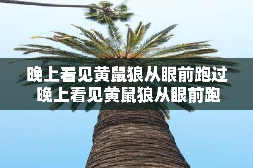 晚上看见黄鼠狼从眼前跑过 晚上看见黄鼠狼从眼前跑过这到底是什么意思