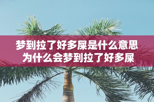 梦到拉了好多屎是什么意思 为什么会梦到拉了好多屎