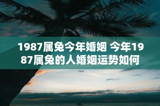 1987属兔今年婚姻 今年1987属兔的人婚姻运势如何