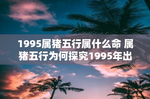 1995属猪五行属什么命 属猪五行为何探究1995年出生的命格