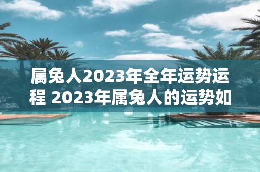 属兔人2023年全年运势运程 2023年属兔人的运势如何