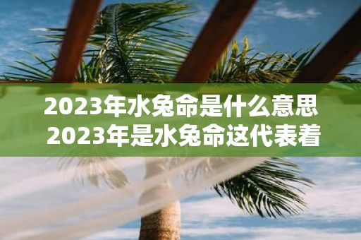 2023年水兔命是什么意思 2023年是水兔命这代表着什么