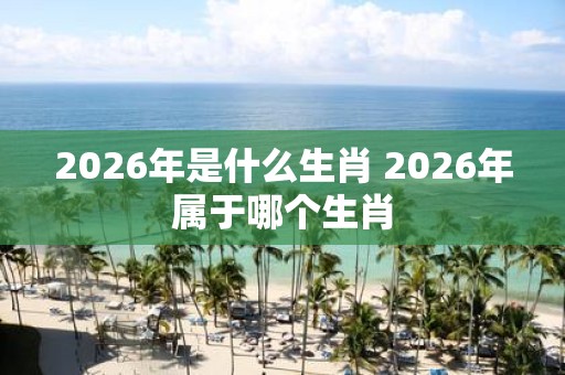 2026年是什么生肖 2026年属于哪个生肖