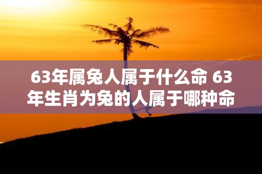 63年属兔人属于什么命 63年生肖为兔的人属于哪种命运