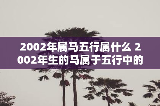 2002年属马五行属什么 2002年生的马属于五行中的哪个属性