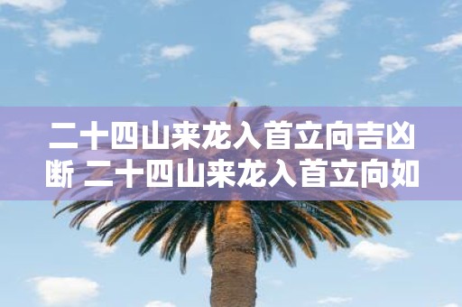 二十四山来龙入首立向吉凶断 二十四山来龙入首立向如何准确地判断其吉凶