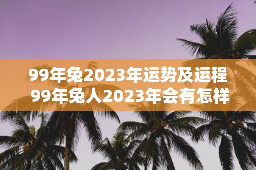 99年兔2023年运势及运程 99年兔人2023年会有怎样的运势变化和运程表现呢