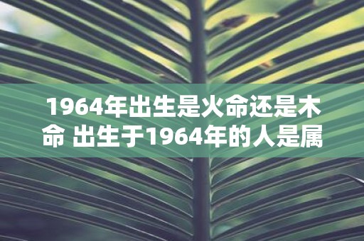 1964年出生是火命还是木命 出生于1964年的人是属于火命还是木命