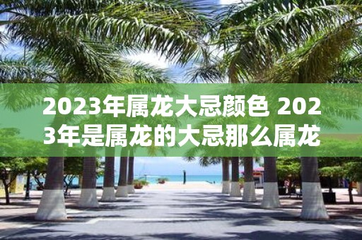 2023年属龙大忌颜色 2023年是属龙的大忌那么属龙在2023年应该避免哪些颜色