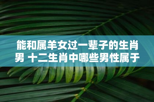 能和属羊女过一辈子的生肖男 十二生肖中哪些男性属于能和属羊女过一辈子的范畴