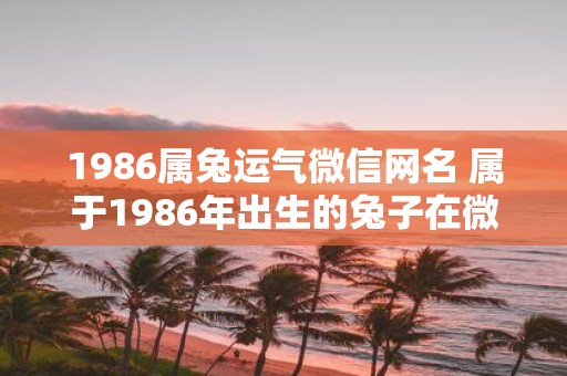 1986属兔运气微信网名 属于1986年出生的兔子在微信名中究竟该选取什么样的运势名称