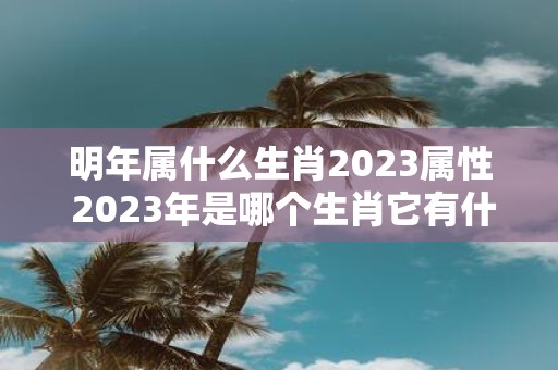 明年属什么生肖2023属性 2023年是哪个生肖它有什么特点和属性