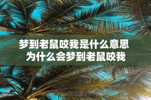 梦到老鼠咬我是什么意思 为什么会梦到老鼠咬我