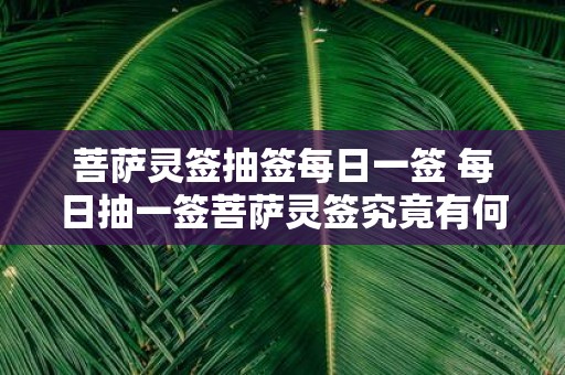 菩萨灵签抽签每日一签 每日抽一签菩萨灵签究竟有何启示