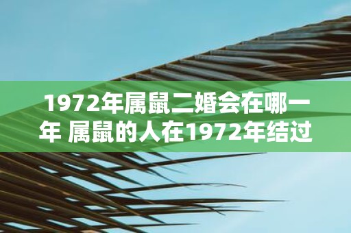 1972年属鼠二婚会在哪一年 属鼠的人在1972年结过婚那么他们的二婚会在哪一年举行