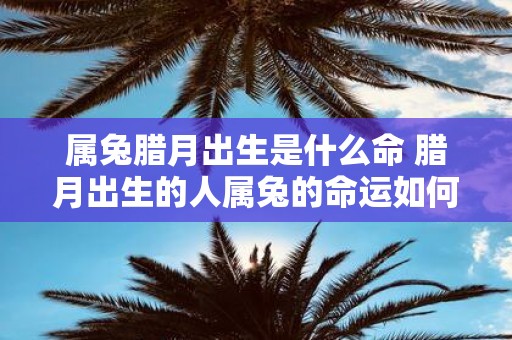 属兔腊月出生是什么命 腊月出生的人属兔的命运如何