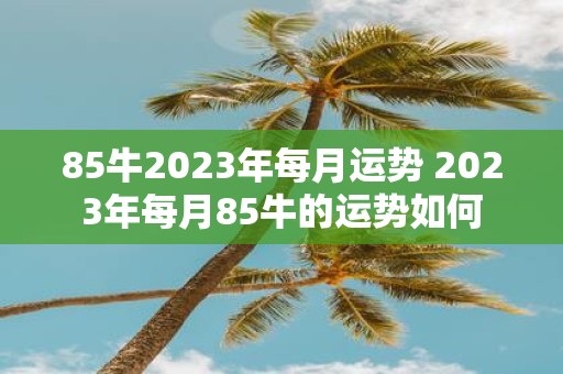 85牛2023年每月运势 2023年每月85牛的运势如何