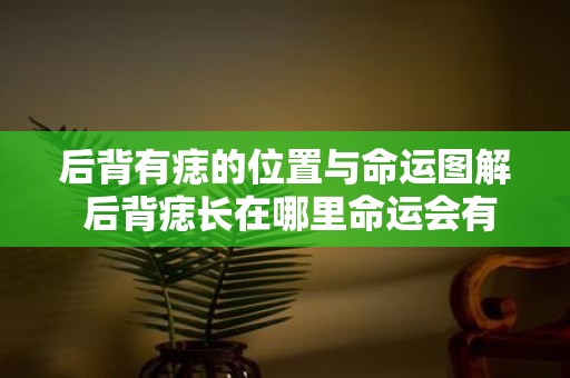 后背有痣的位置与命运图解 后背痣长在哪里命运会有什么变化大意不变