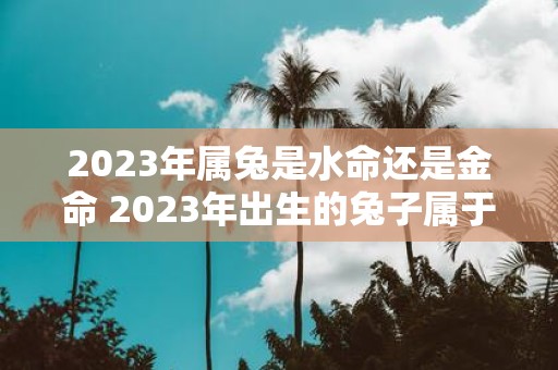 2023年属兔是水命还是金命 2023年出生的兔子属于水命还是金命