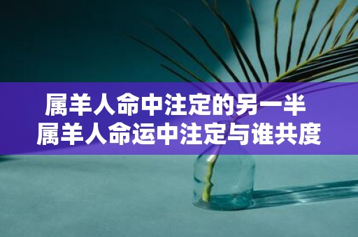 属羊人命中注定的另一半 属羊人命运中注定与谁共度一生