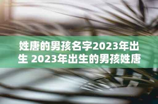 姓唐的男孩名字2023年出生 2023年出生的男孩姓唐有什么好听的名字