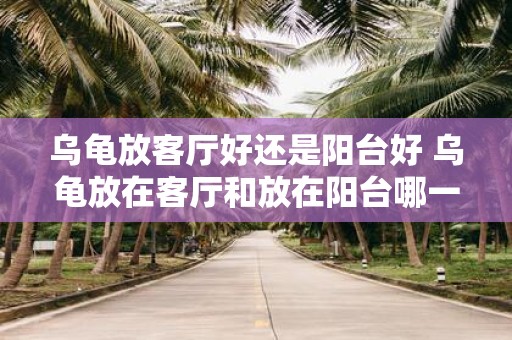 乌龟放客厅好还是阳台好 乌龟放在客厅和放在阳台哪一个更好