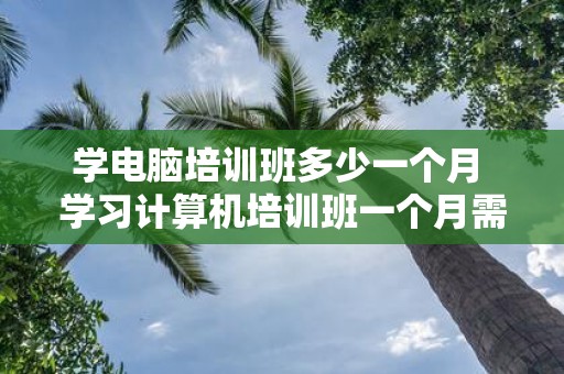 学电脑培训班多少一个月 学习计算机培训班一个月需要支付多少学费