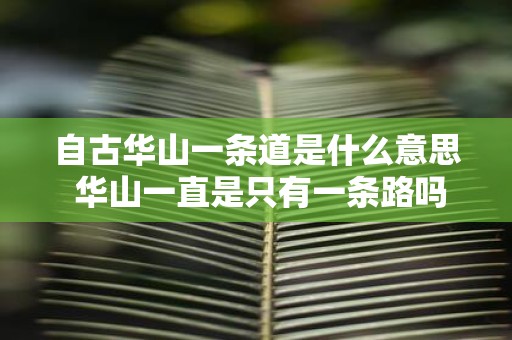 自古华山一条道是什么意思 华山一直是只有一条路吗