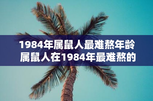 1984年属鼠人最难熬年龄 属鼠人在1984年最难熬的是哪个年龄阶段