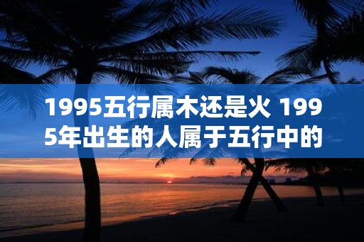 1995五行属木还是火 1995年出生的人属于五行中的木还是火